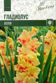 Джестер (10/12) 1 шт/у