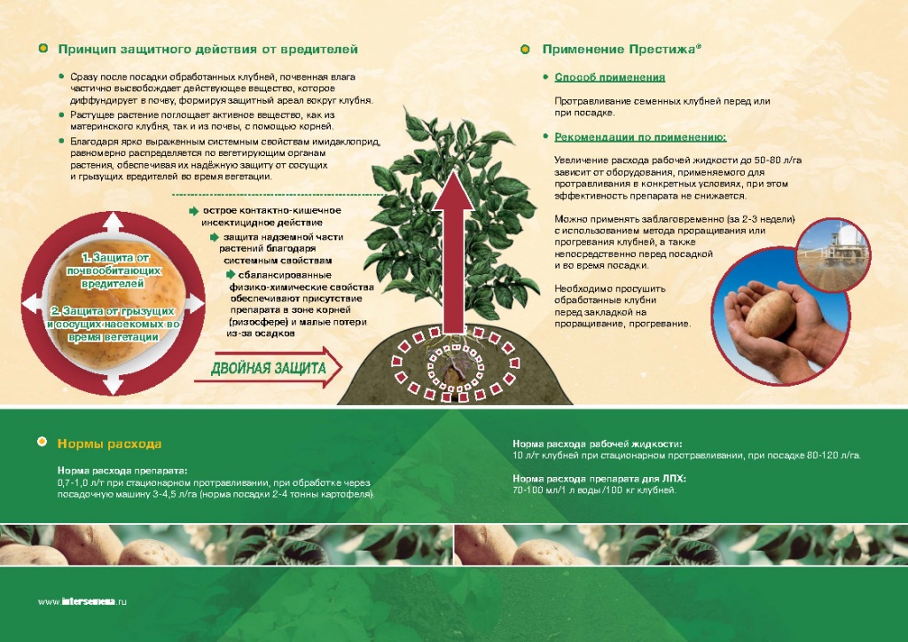 ПРЕСТИЖ БРОШУРКА_Page4.jpg