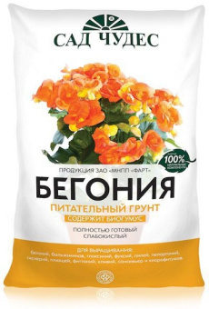 Бегония 2,5 л (Норд Палп) /10/